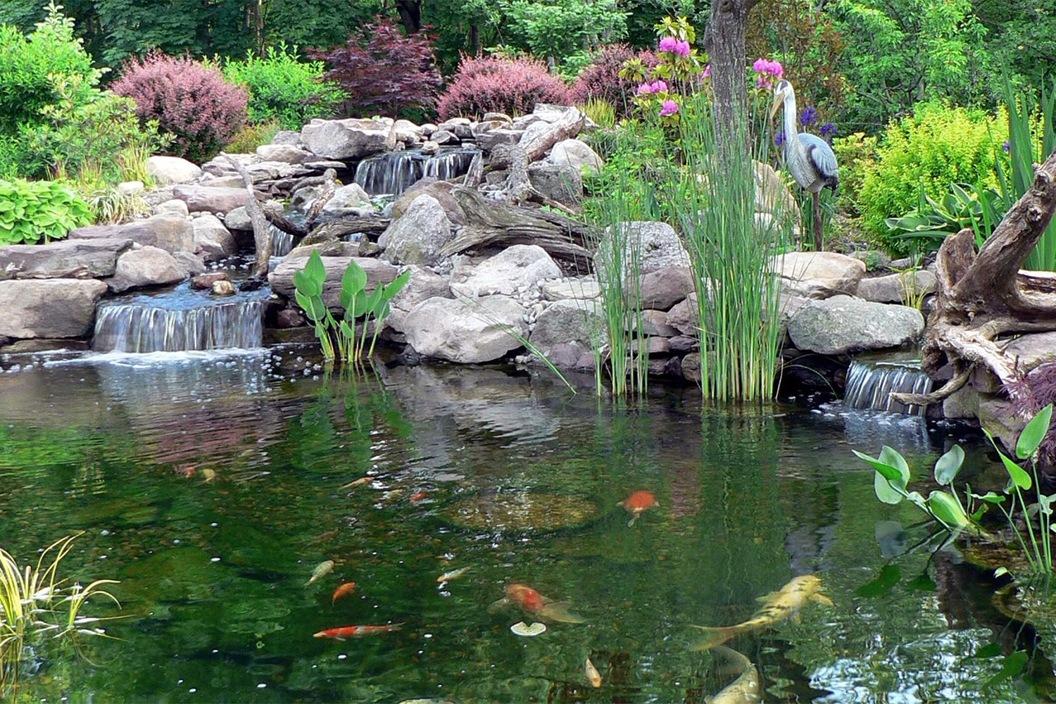 Biological Pond