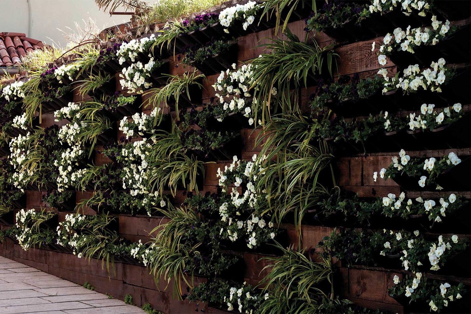 Vertical Garden