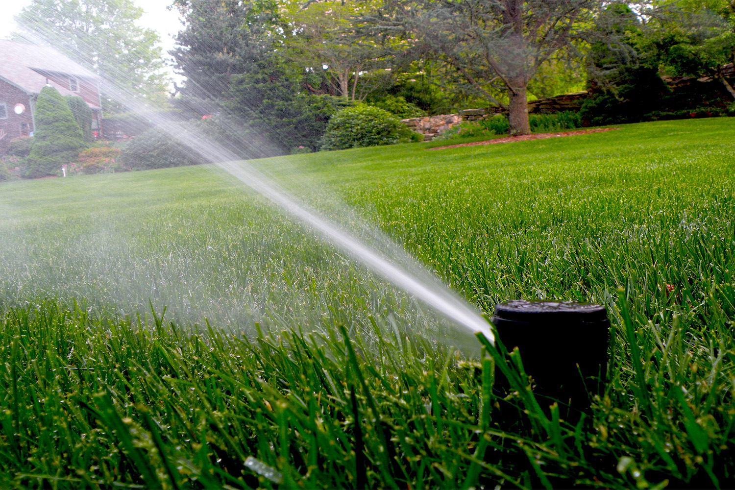 Automatic Irrigation